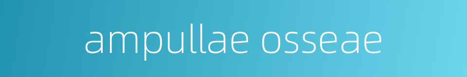 ampullae osseae的同义词