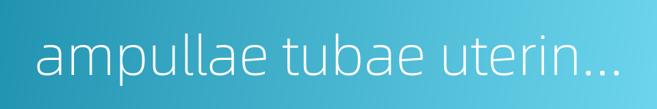 ampullae tubae uterinae的同义词