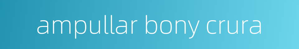 ampullar bony crura的同义词