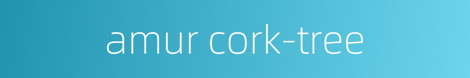 amur cork-tree的同义词