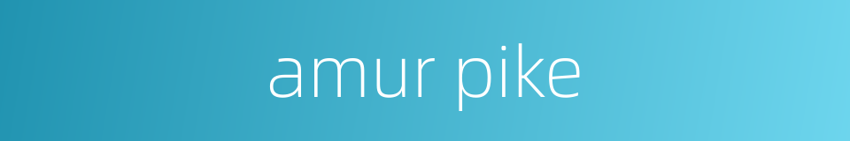 amur pike的同义词