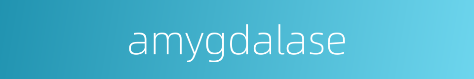 amygdalase的同义词