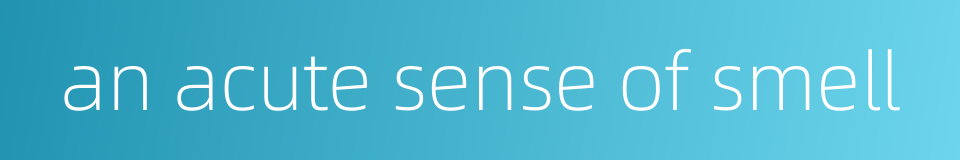 an acute sense of smell的同义词