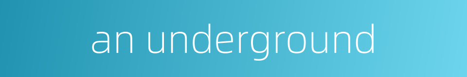an underground的同义词