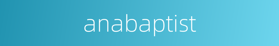 anabaptist的同义词