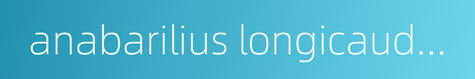 anabarilius longicaudatus的同义词