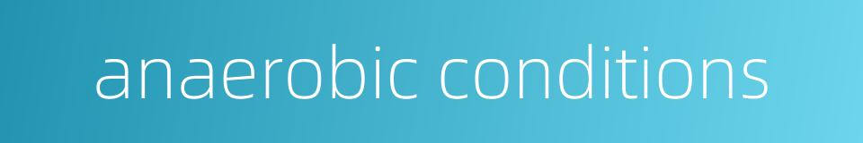 anaerobic conditions的同义词