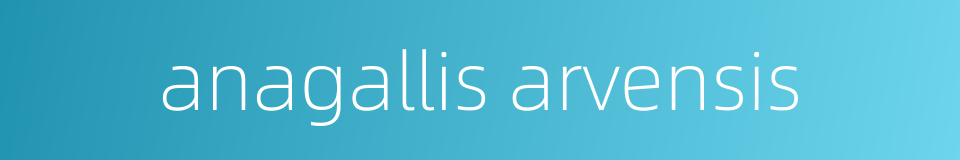 anagallis arvensis的同义词