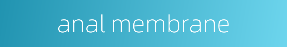 anal membrane的同义词