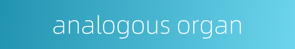 analogous organ的同义词