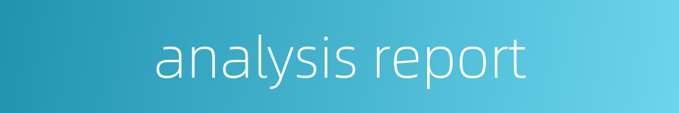 analysis report的同义词