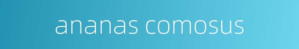 ananas comosus的同义词