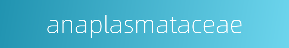 anaplasmataceae的同义词