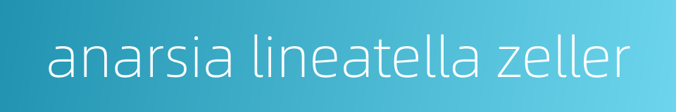 anarsia lineatella zeller的同义词