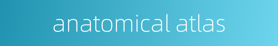 anatomical atlas的同义词