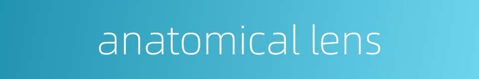 anatomical lens的同义词