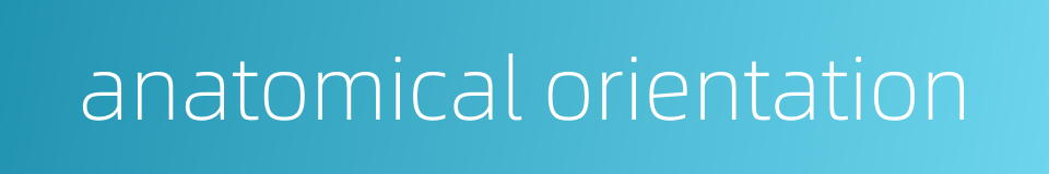 anatomical orientation的同义词