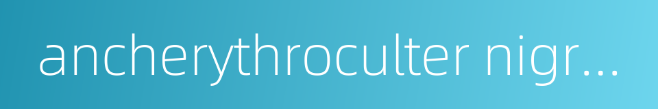 ancherythroculter nigrocauda的同义词