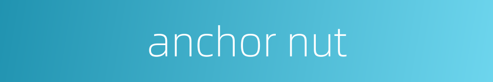 anchor nut的同义词