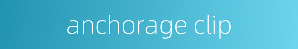 anchorage clip的同义词