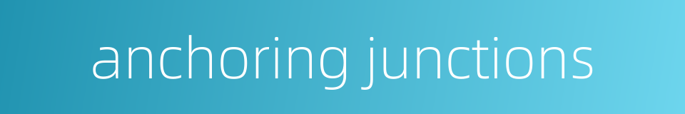 anchoring junctions的同义词