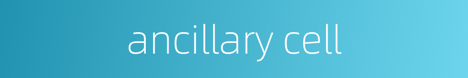 ancillary cell的同义词