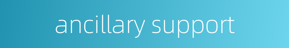 ancillary support的同义词