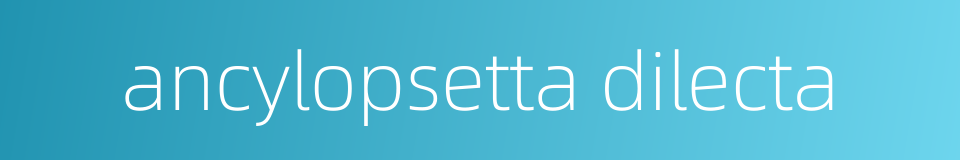 ancylopsetta dilecta的同义词