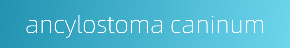 ancylostoma caninum的同义词