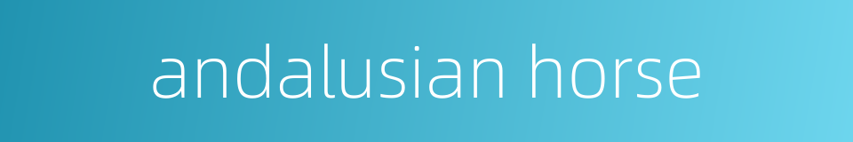 andalusian horse的同义词