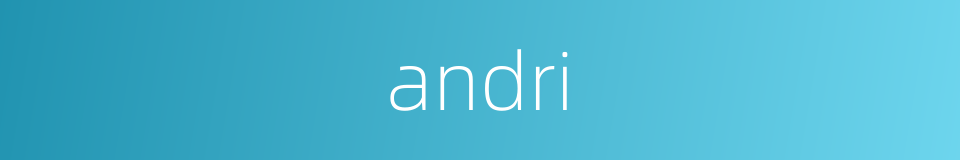 andri的同义词