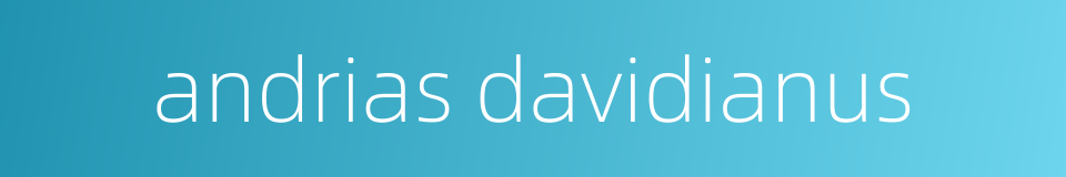 andrias davidianus的同义词