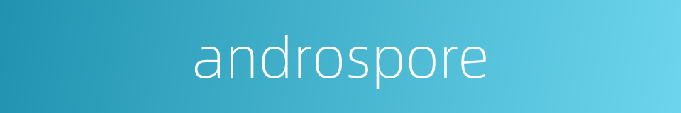 androspore的同义词