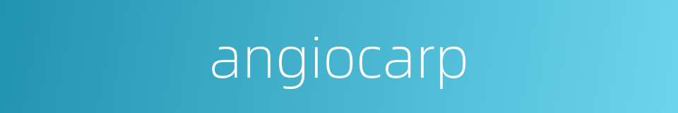 angiocarp的同义词