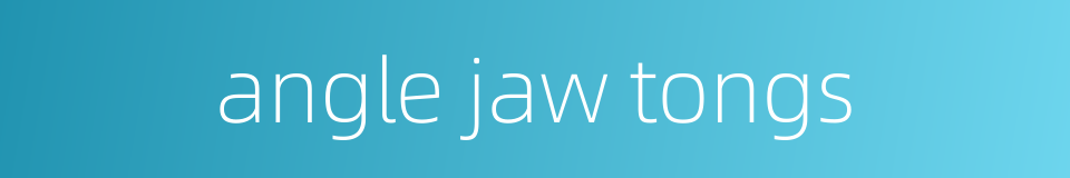 angle jaw tongs的同义词