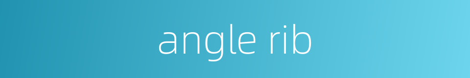 angle rib的同义词