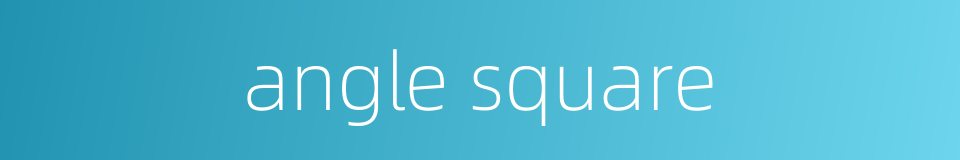 angle square的同义词