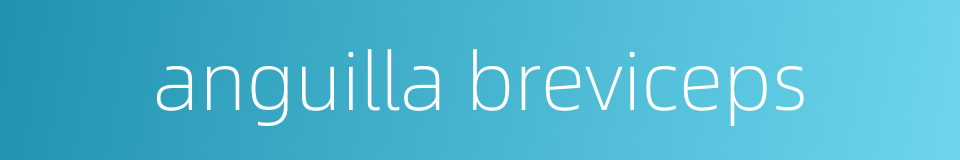 anguilla breviceps的同义词