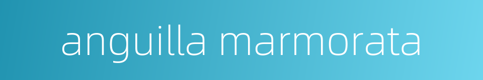 anguilla marmorata的同义词