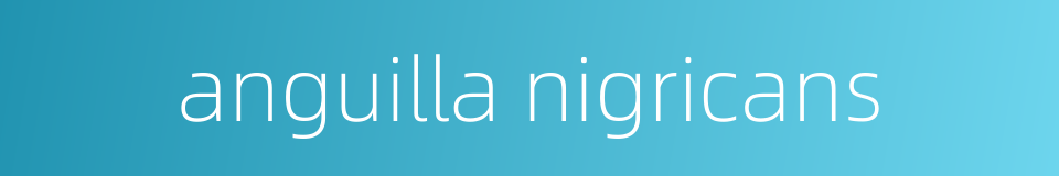 anguilla nigricans的同义词
