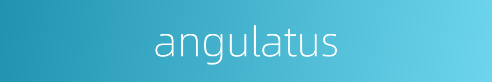 angulatus的同义词
