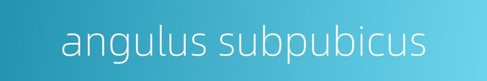 angulus subpubicus的同义词