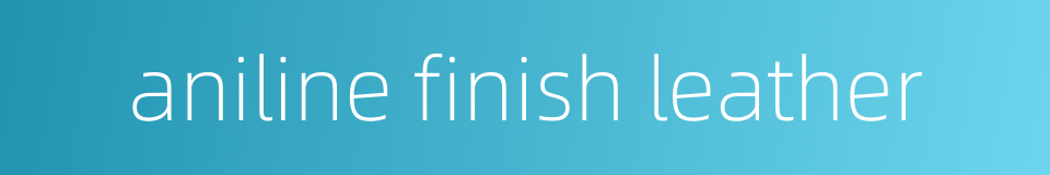aniline finish leather的同义词