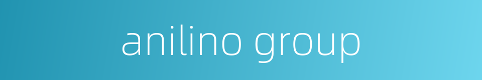 anilino group的同义词