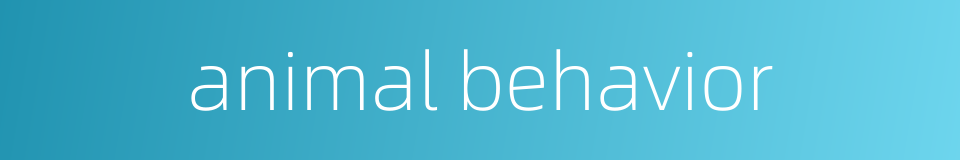 animal behavior的同义词