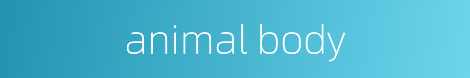animal body的同义词