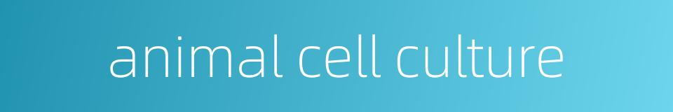 animal cell culture的同义词