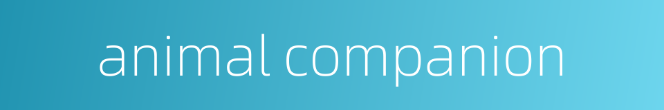 animal companion的同义词