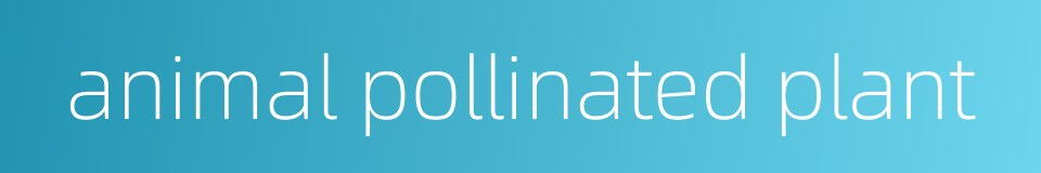 animal pollinated plant的同义词