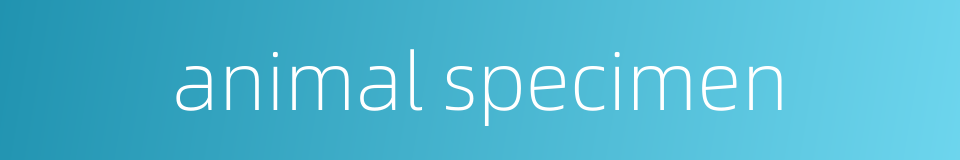 animal specimen的同义词